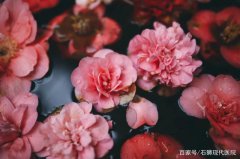 「小阴唇修复术」“花瓣”有点大，手