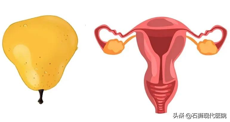 来自子宫的一封信：每位女性必须知道的几件事