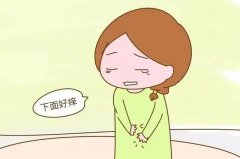 【外阴炎≠阴道炎】被忽视的外阴炎~