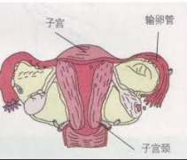 宫颈纳囊，可怕吗？