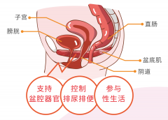 阴道松弛，还有办法能“紧”回来吗？